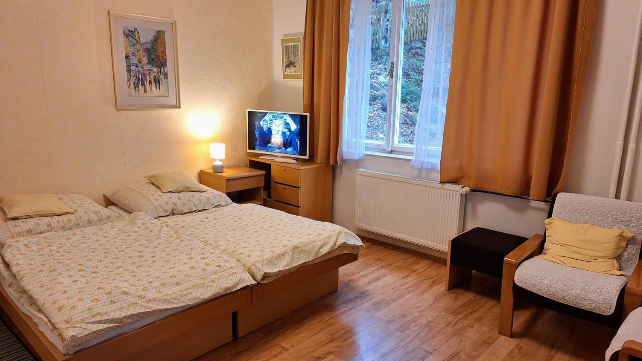 Vila Daniela Карлови Вари Екстериор снимка